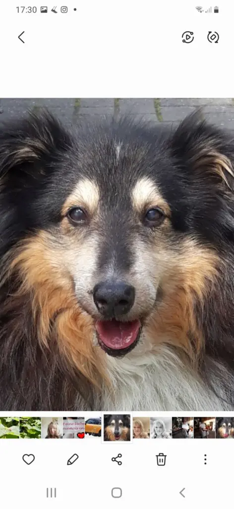 Condolence image of Claudia