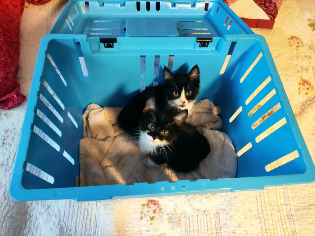 Image from Eddie und Mucki