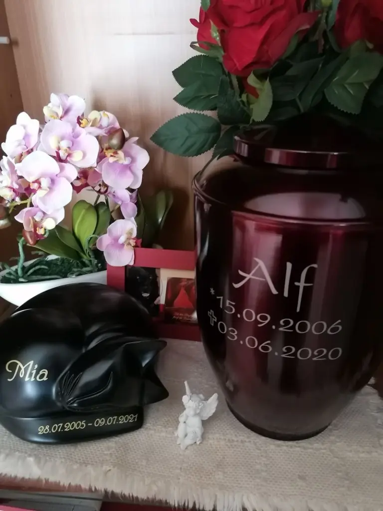 Condolence image of Andrea