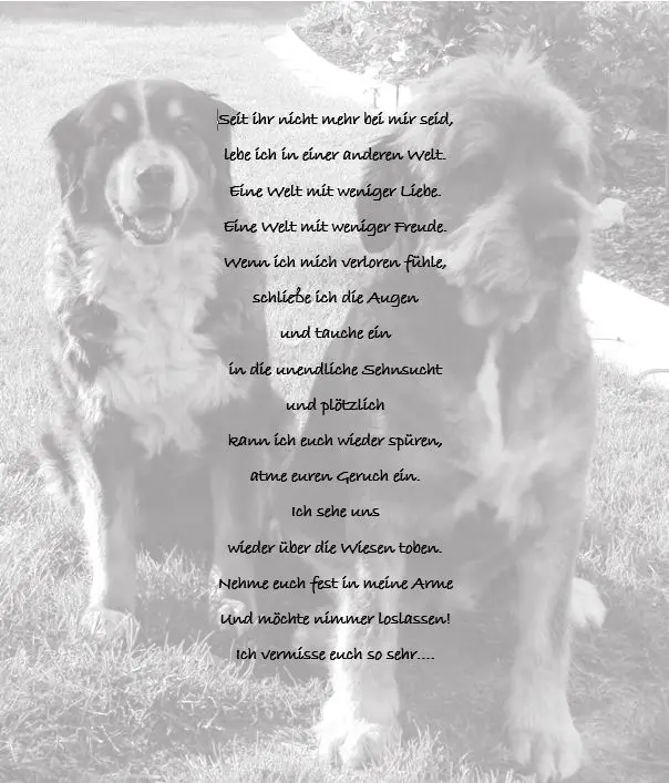 Image from Dina und Alice