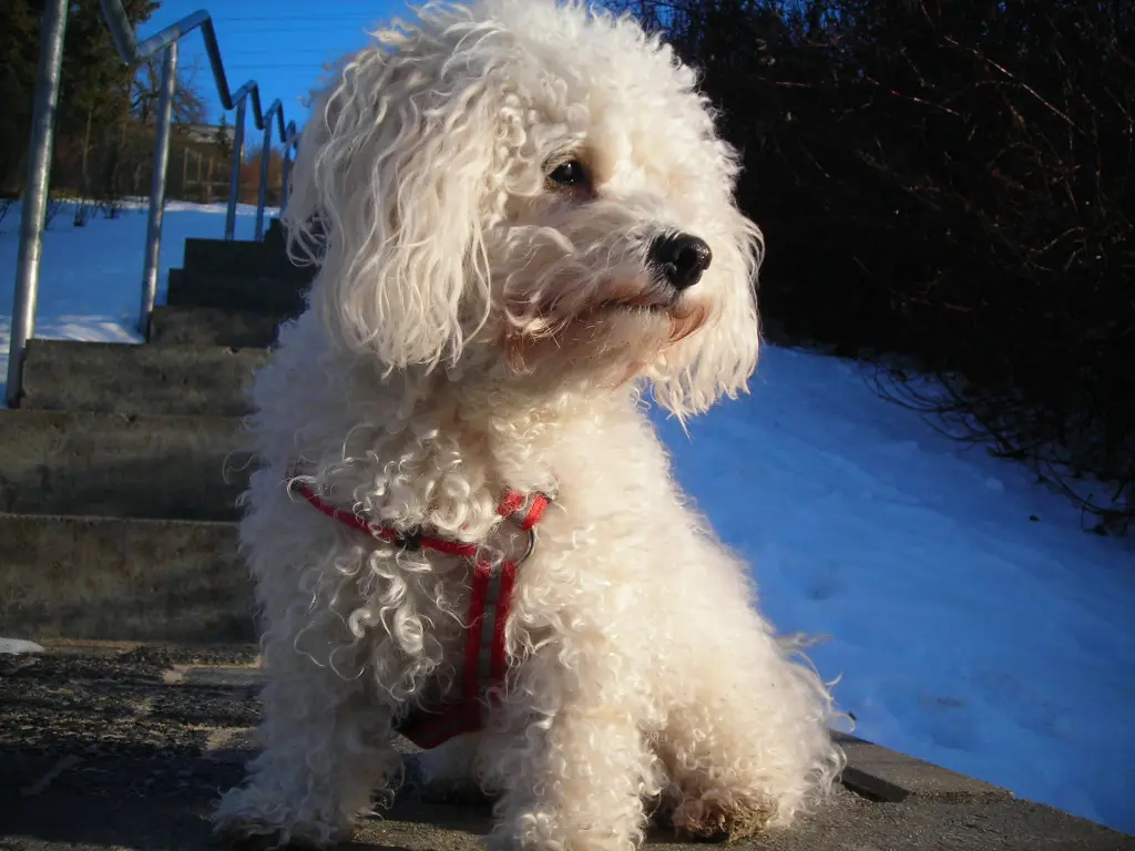 Image from Roxy