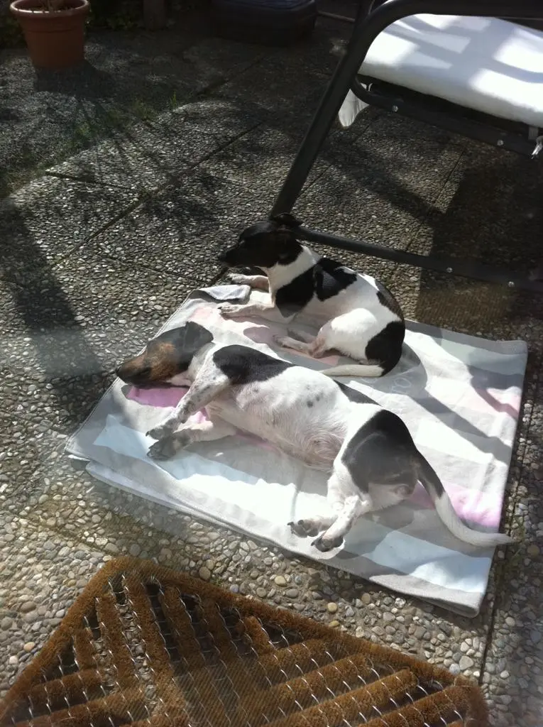 Image from Lucy