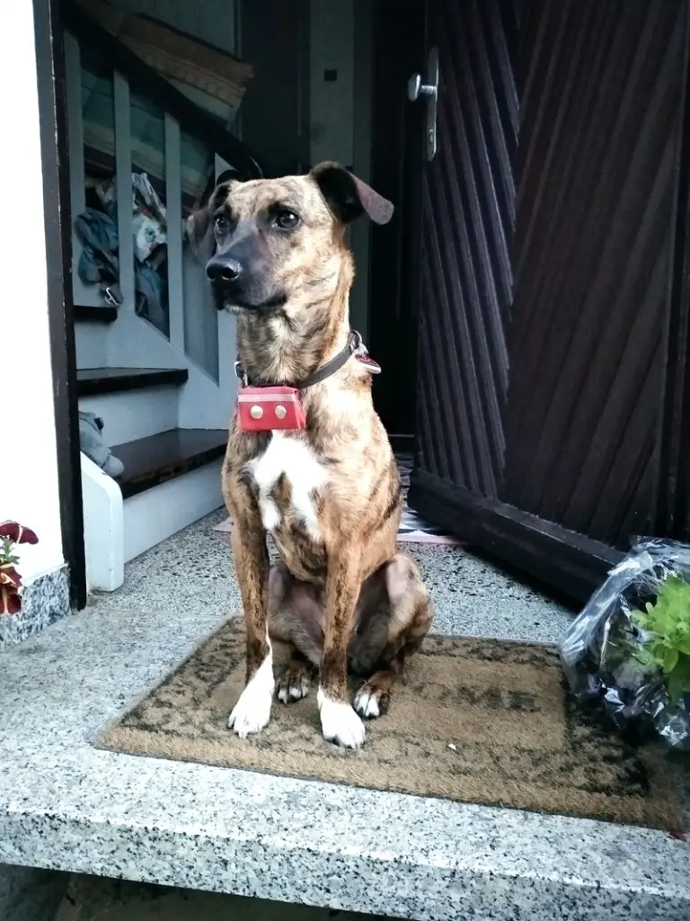 Andachtsbild von Erika