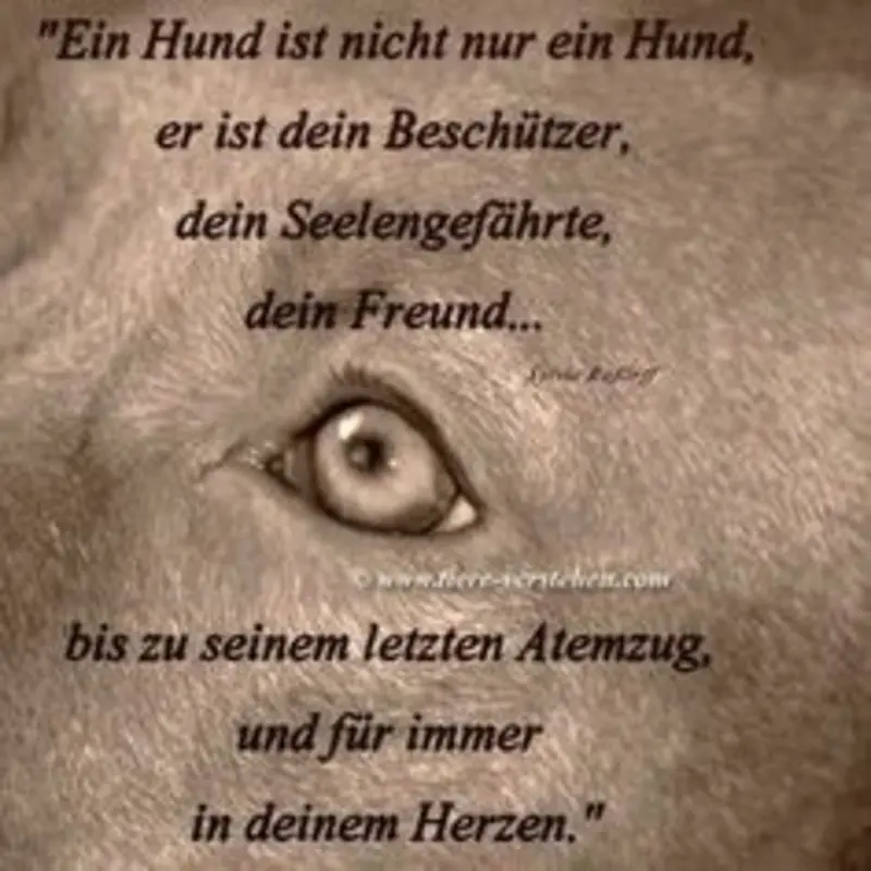 Condolence image of Andrea mit Minki im ❤ gest.19.10.2020