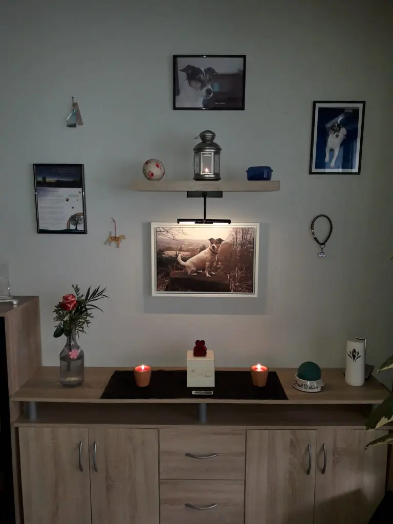 Image from Nala