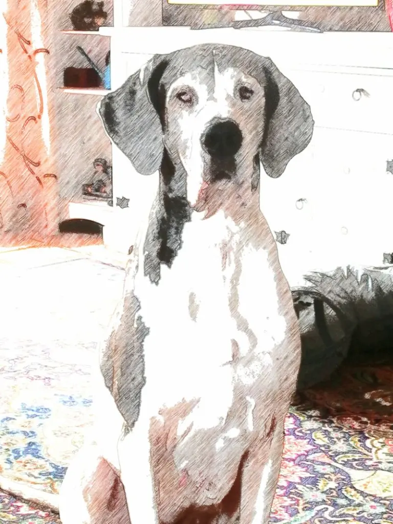 Condolence image of Bianka mit Ronja im Herz