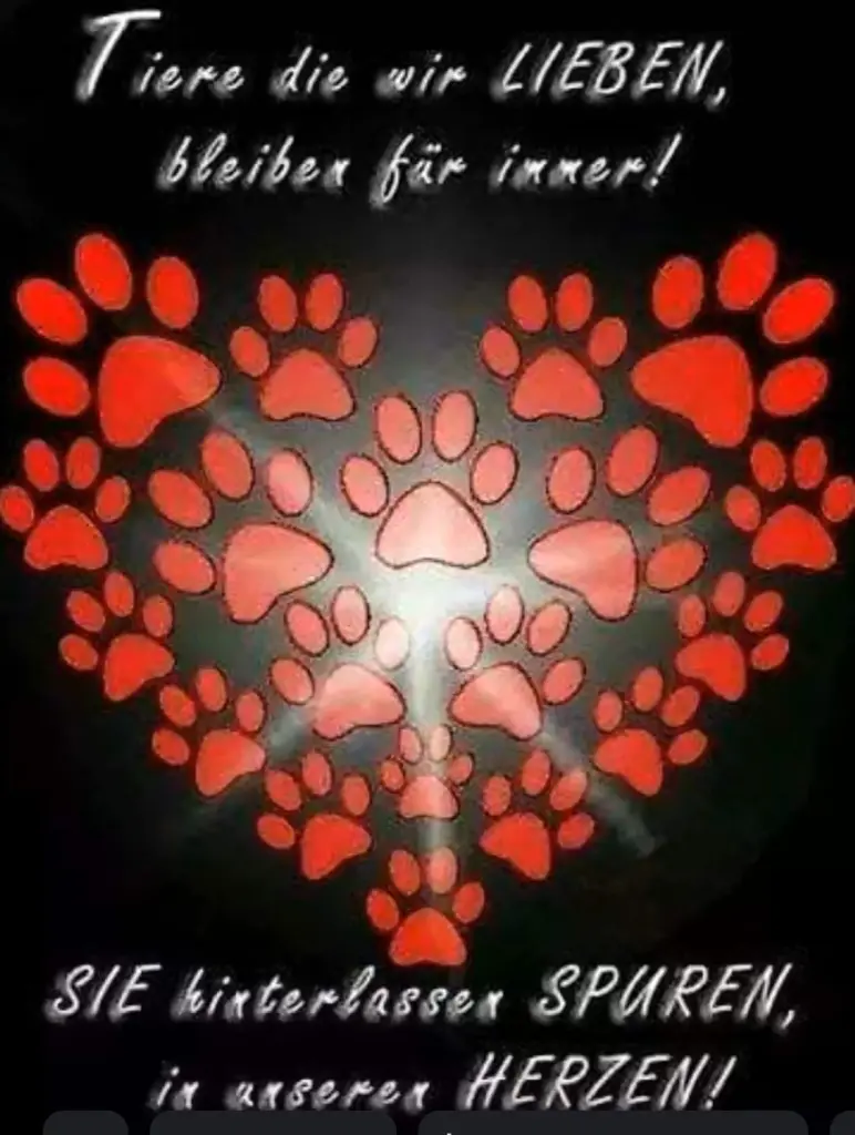 Condolence image of Barbara Wegner