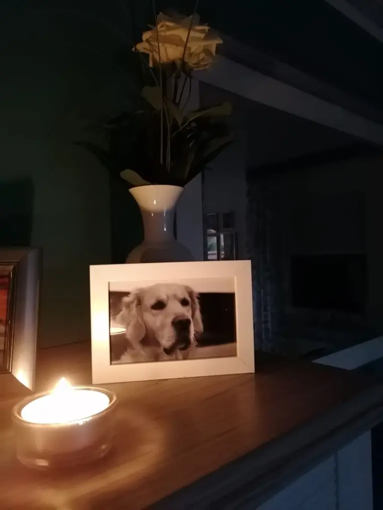 Condolence image of Joachim