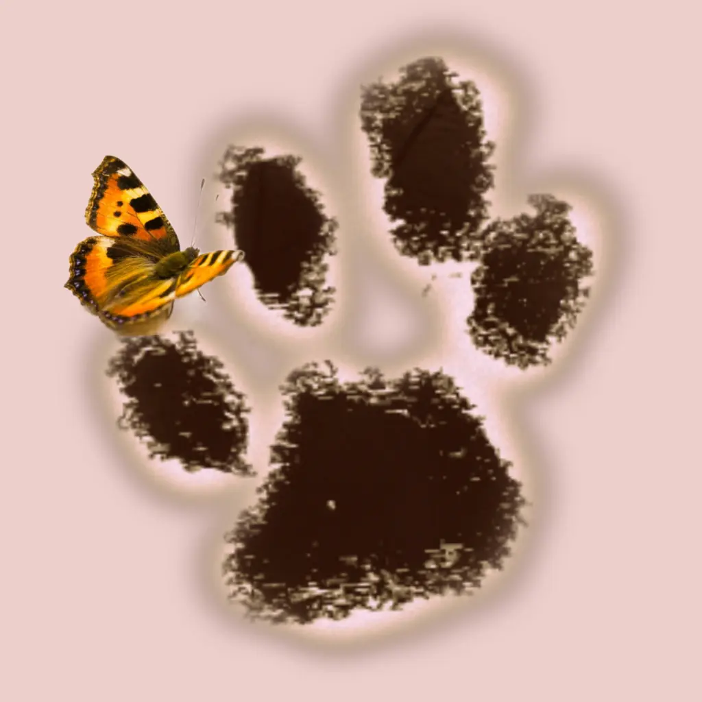 Condolence image of Frauchen