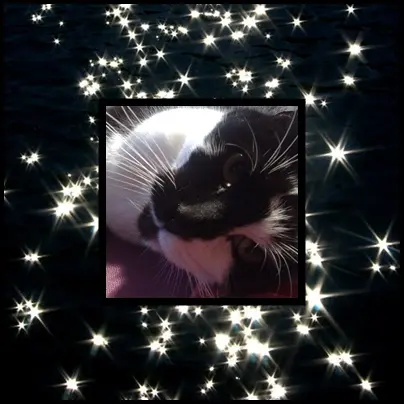 Image from Friedolin