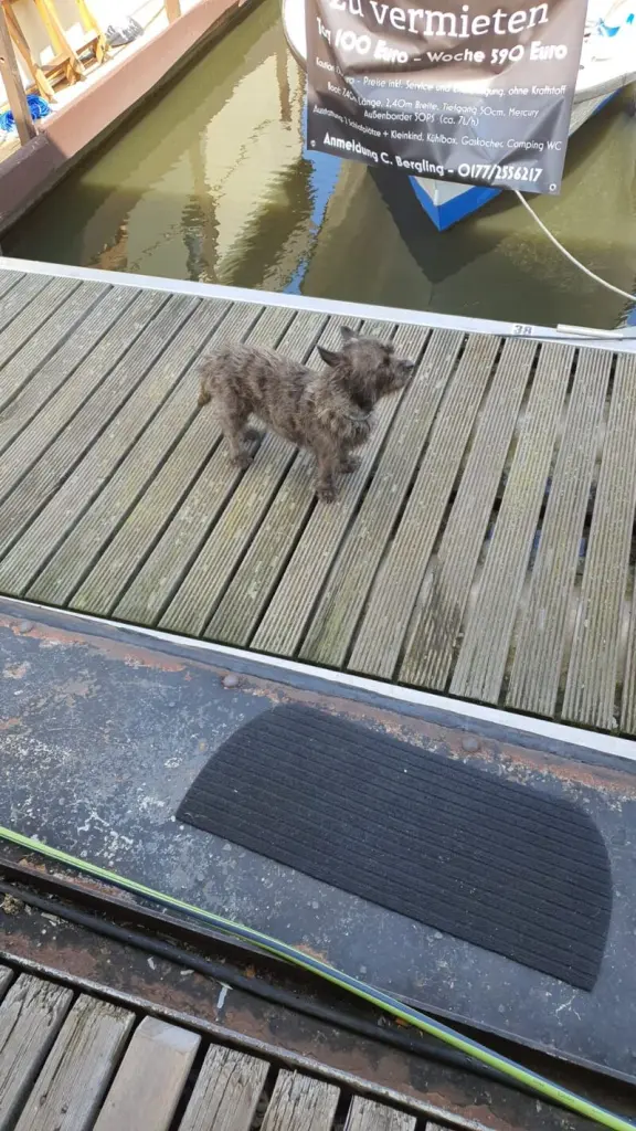 Condolence image of Unbekannt