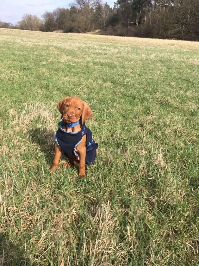 Condolence image of Simone