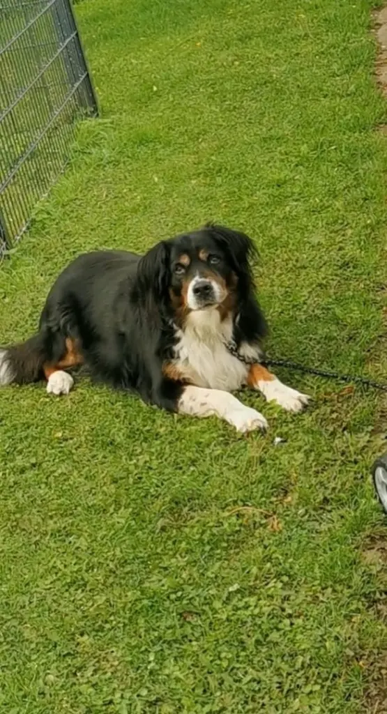 Image from Ronja