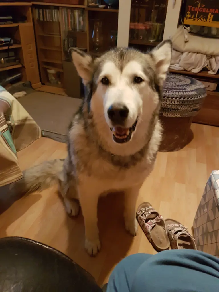 Image from Latoya