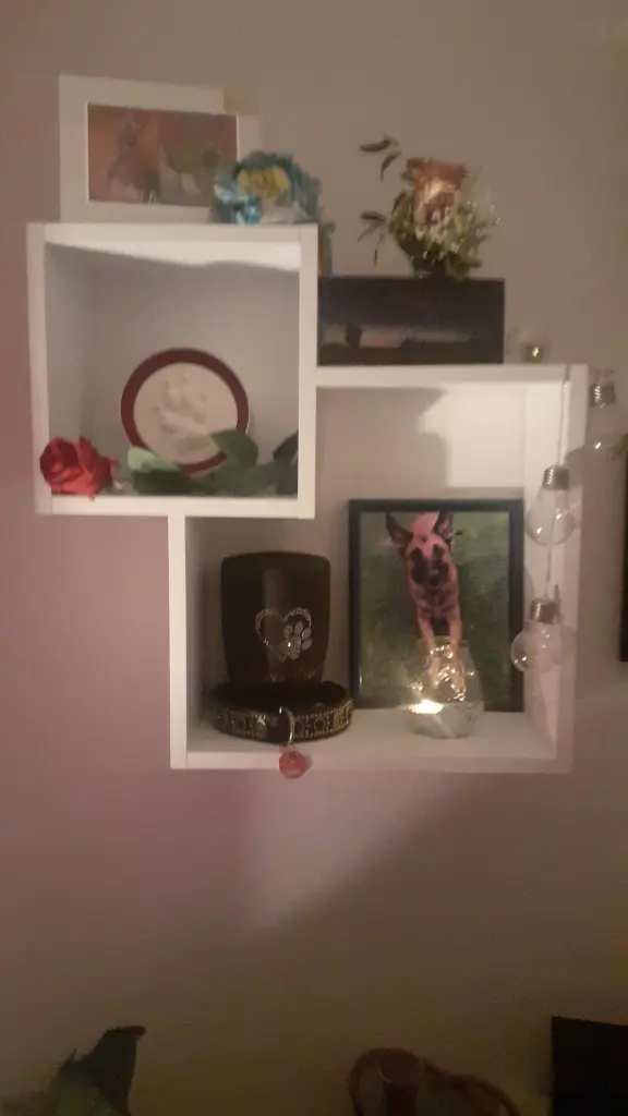 Condolence image of Julia