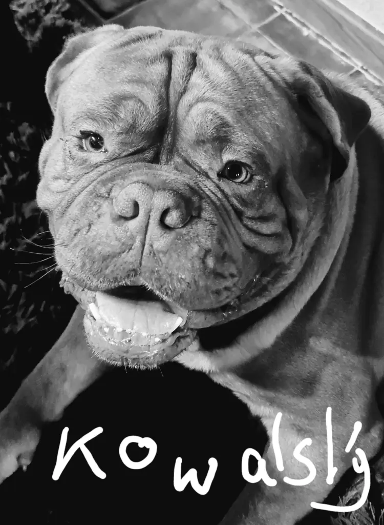 Image from Kowalski