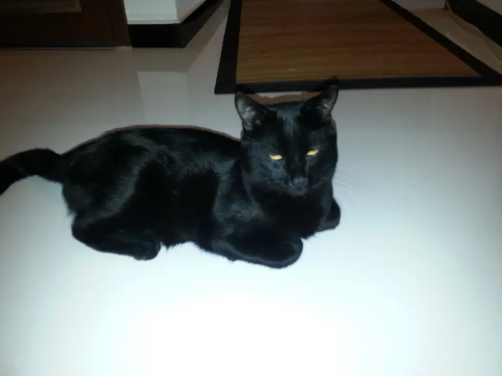 Image from Akari