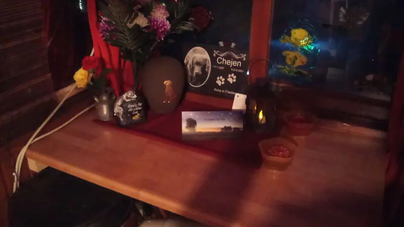 Condolence image of Meik mit Familie Freunde