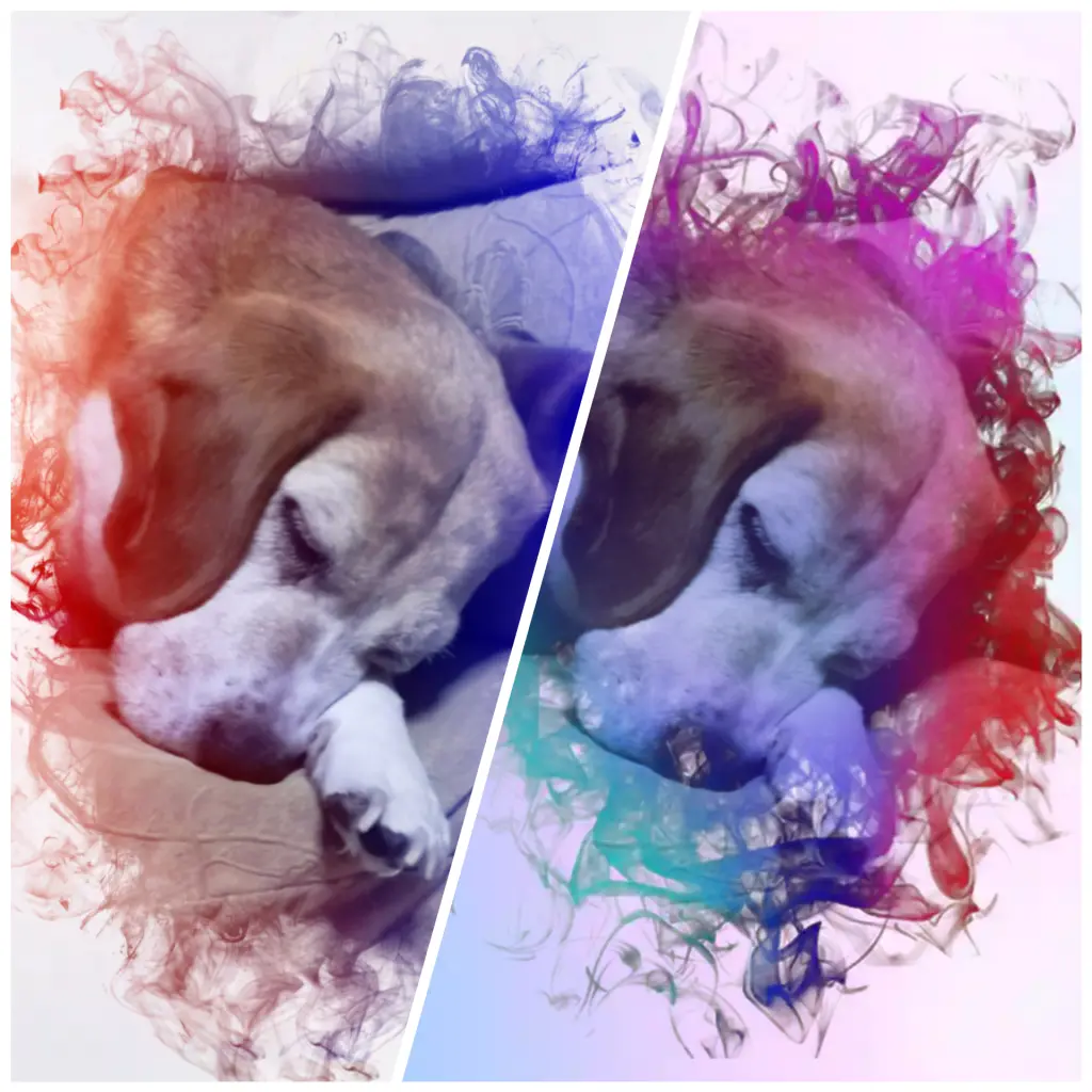 Image from Kessy
