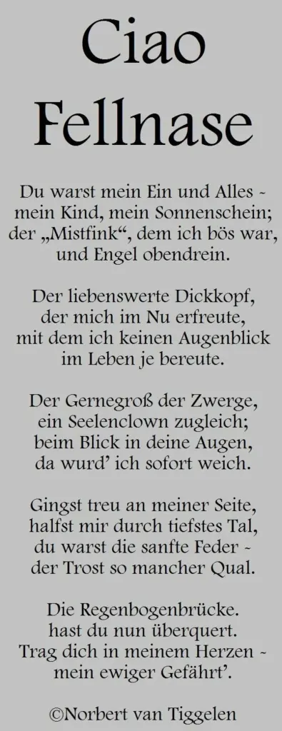 Condolence image of Andrea mit Minki im ❤ gest.19.10.2020