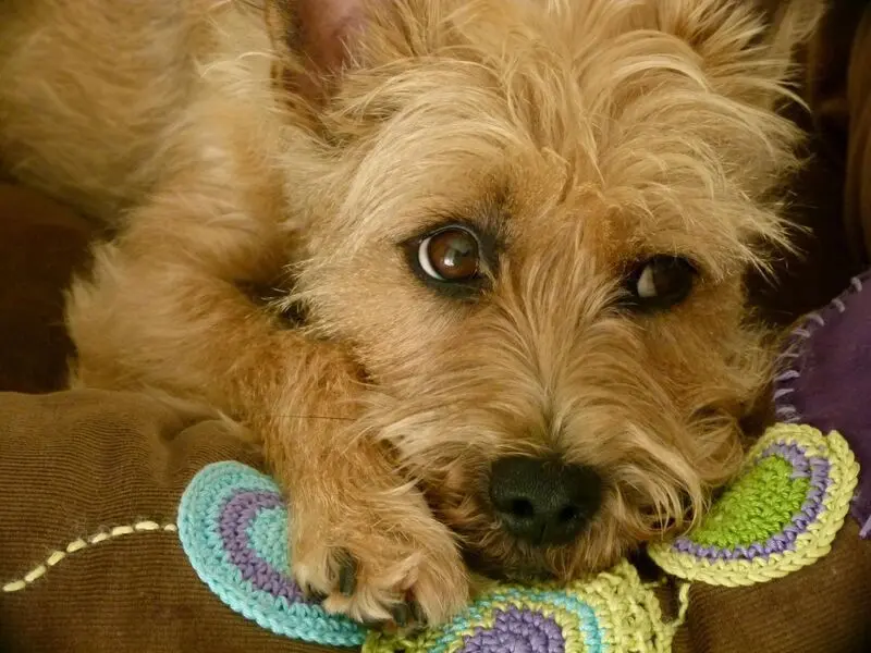 Condolence image of Kathi