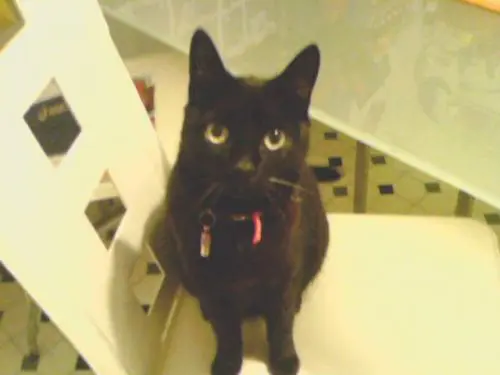 Image from Daisy gest. 06.01.2010