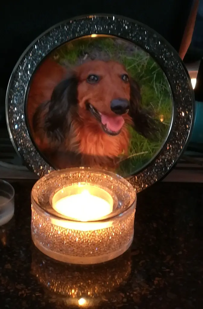 Condolence image of Sabine
