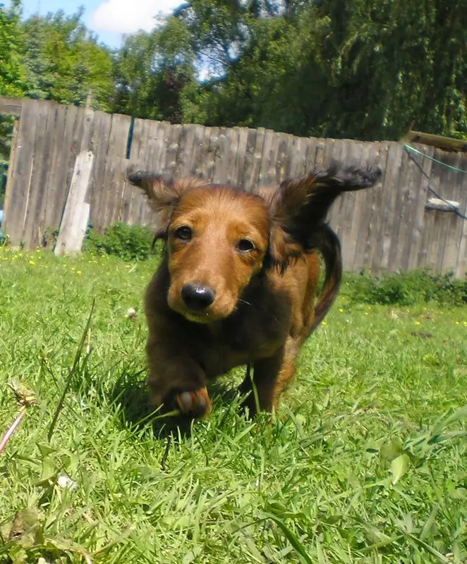 Image from Tatonka