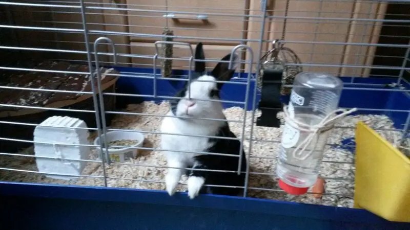 Condolence image of Omi und Opi