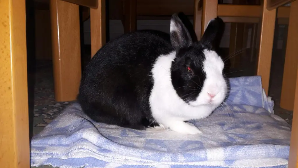 Condolence image of Sylvia