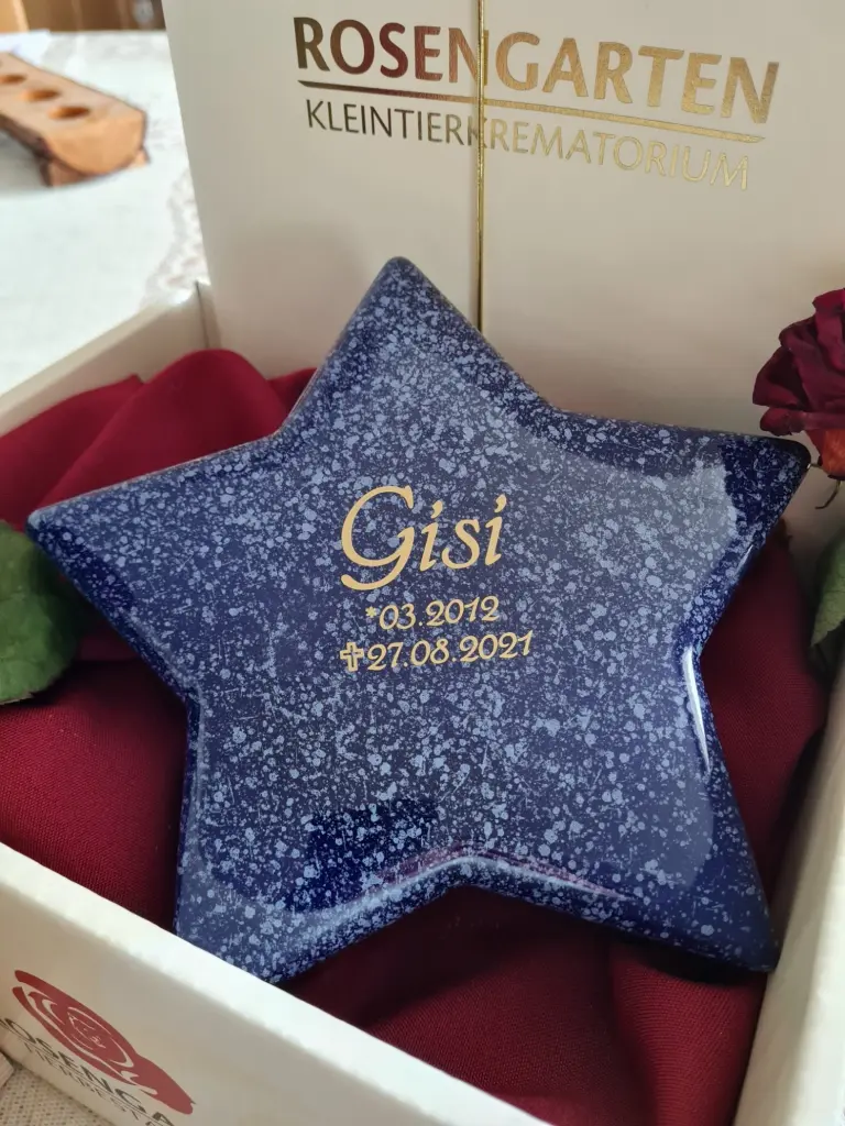 Image from Gisi