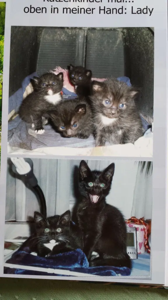 Condolence image of Kathi Doehring 