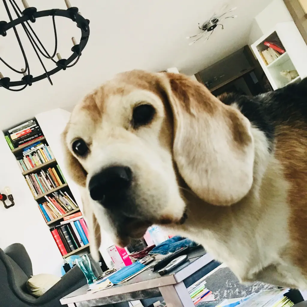 Image from Elliot