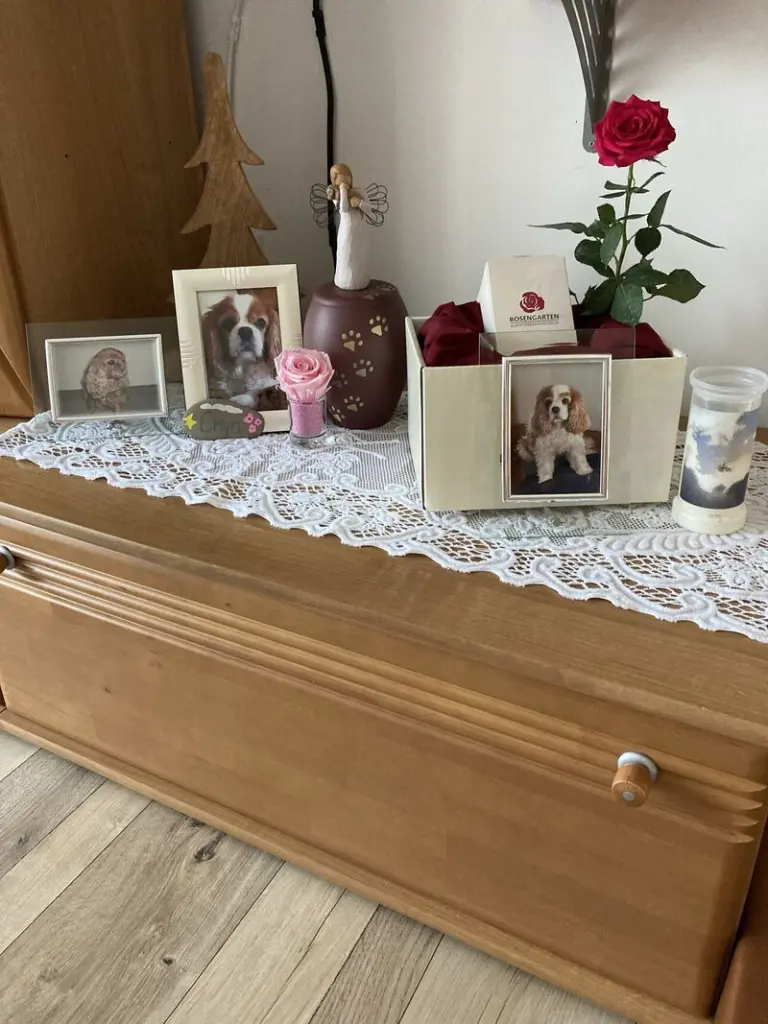Condolence image of Irene