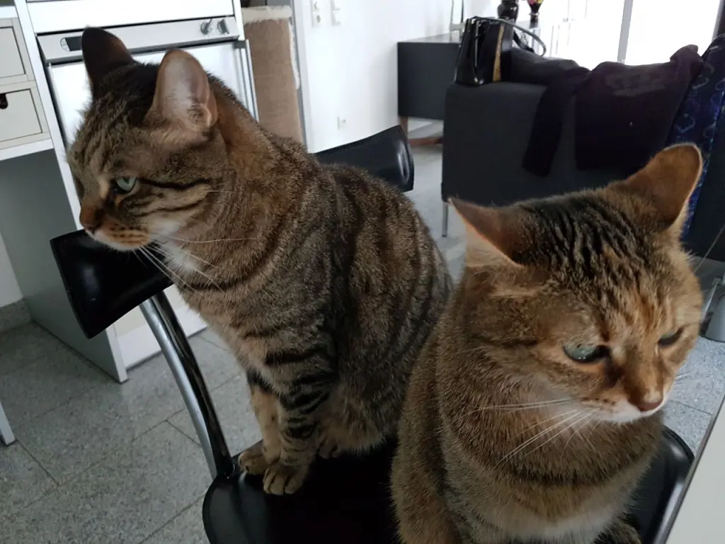 Image from Butzi