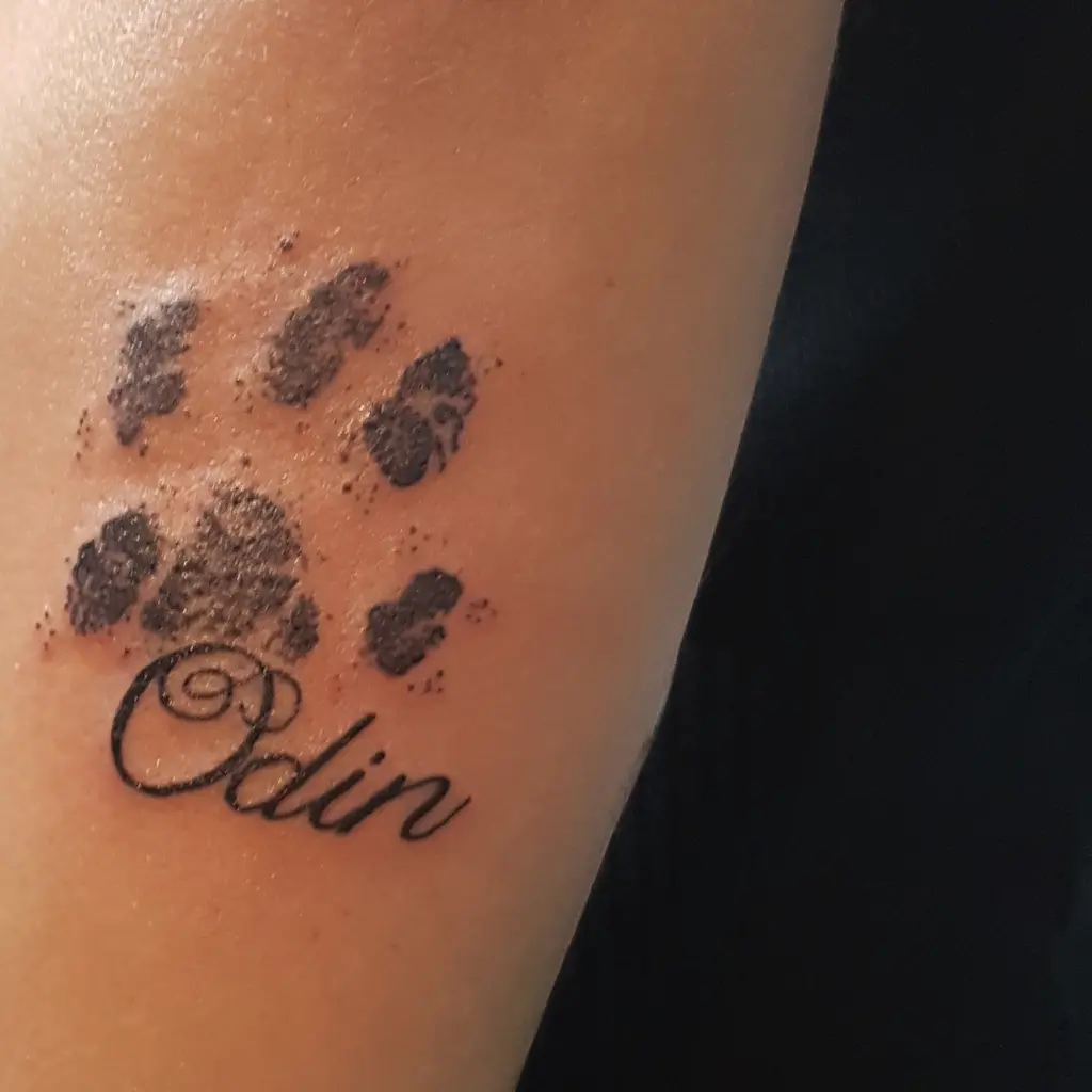 Image from Odin