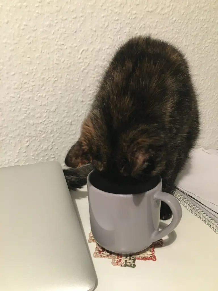Image from Maxi