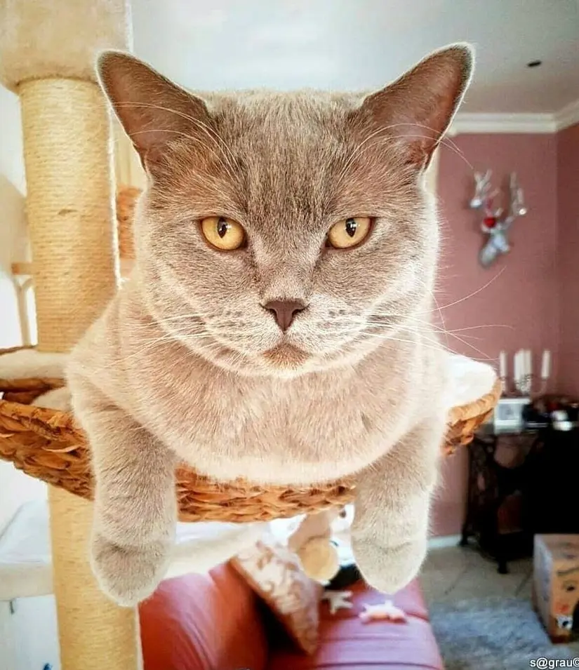 Andachtsbild von Sigi Graute