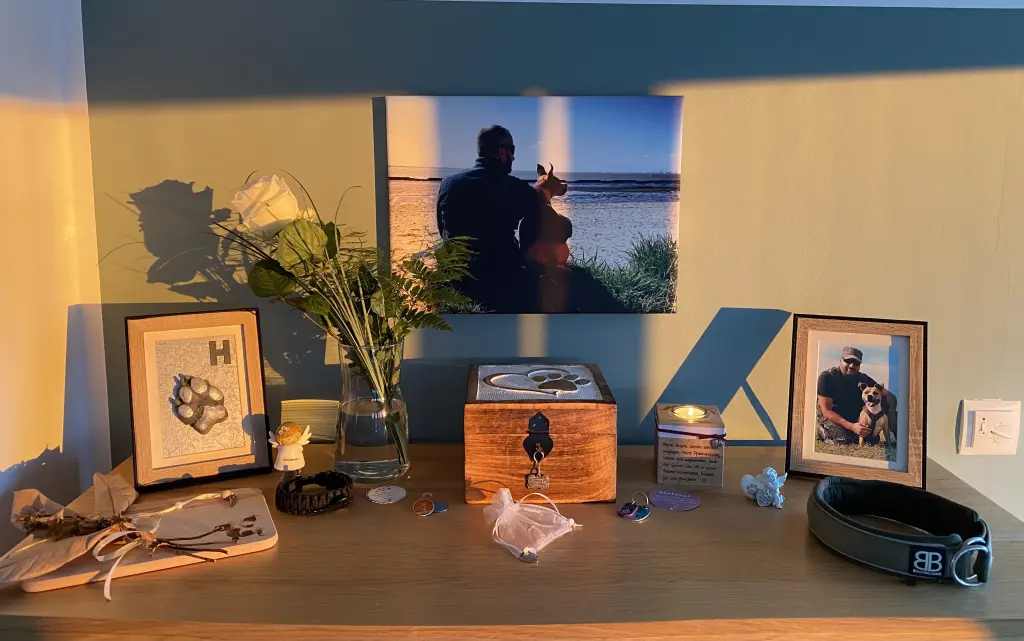 Condolence image of Heiko Schnabel