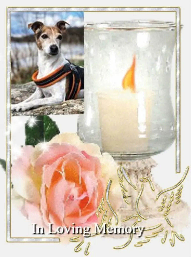 Condolence image of Fur Emmchen❤️