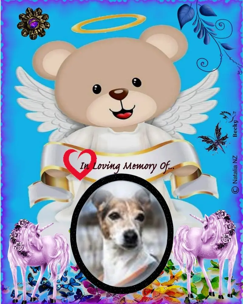 Condolence image of Fur Emmchen❤️