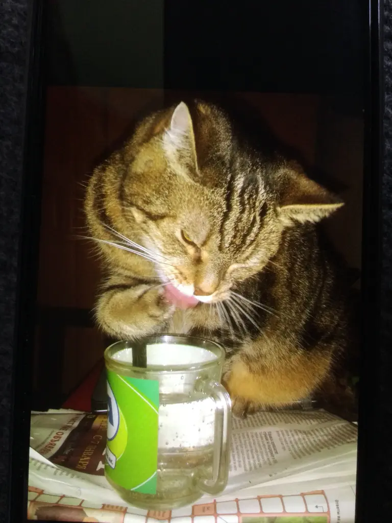 Image from Kimi