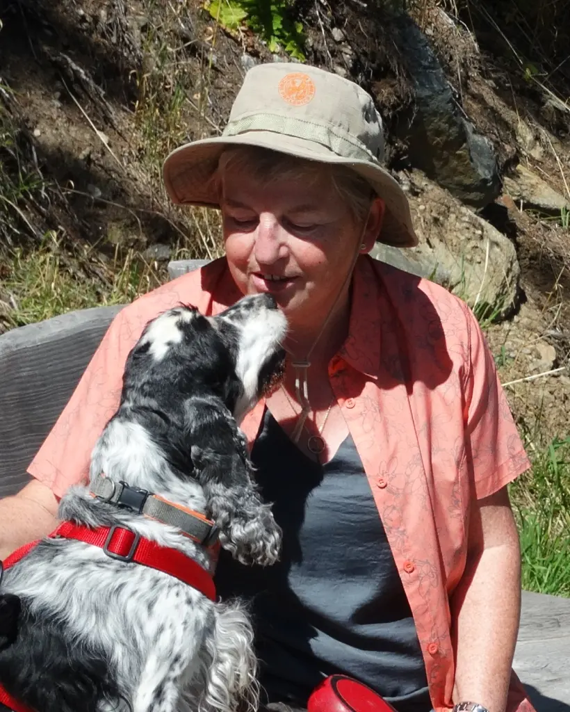 Image from Gismo