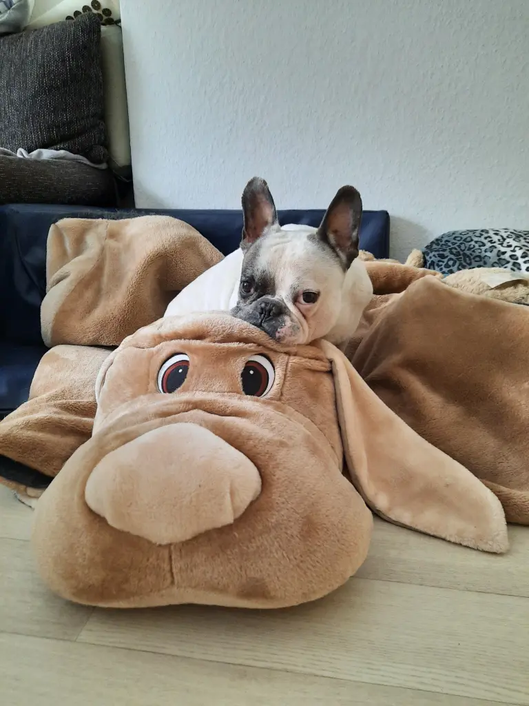 Image from Lenny