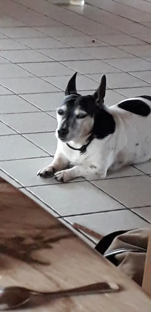 Condolence image of Sandra