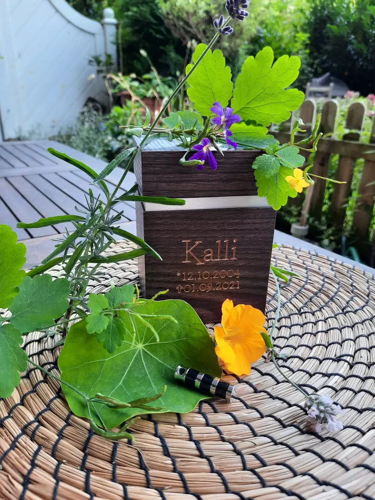 Image from Karlchen