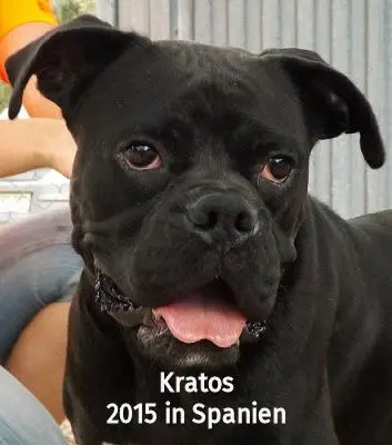 Image from Kratos