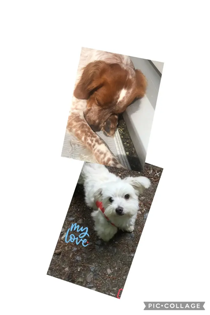 Andachtsbild von Melanie  Bektas