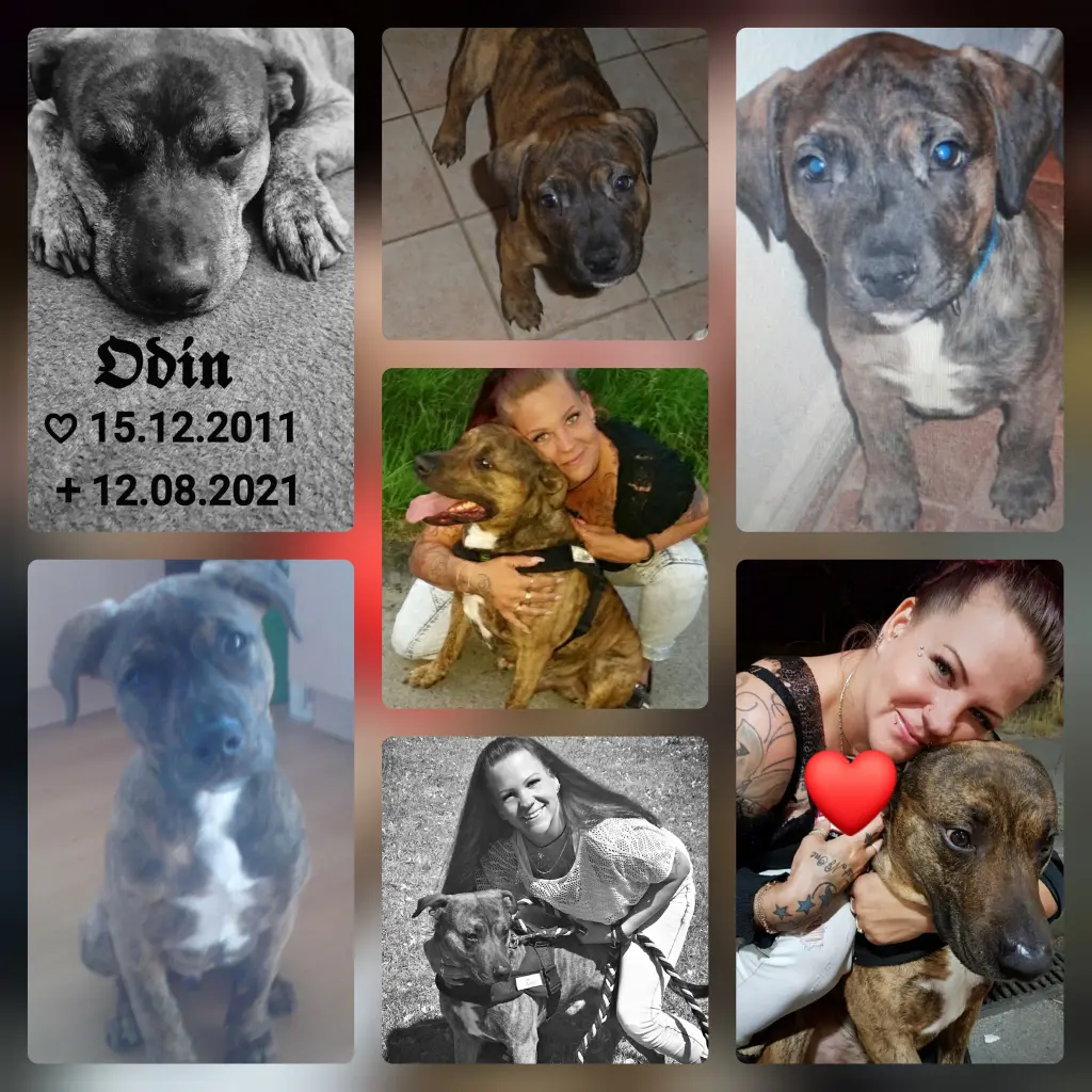 Condolence image of Von deiner Mama für Odin In Liebe