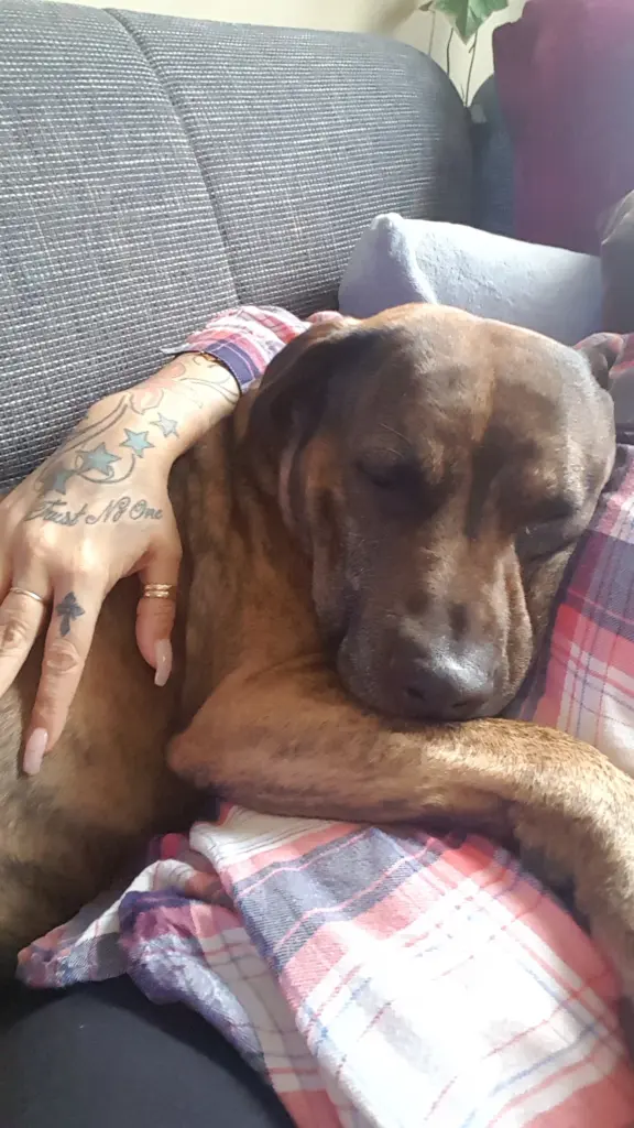 Condolence image of Für Odin in liebe Von deiner Mama